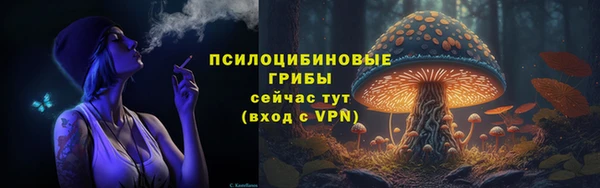сатива Киренск